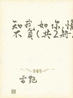 知我如你,情深不负(共2册) 小说