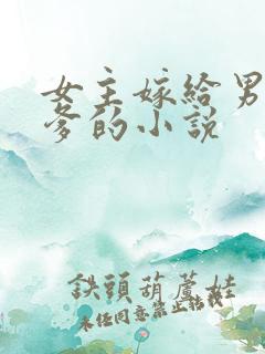 女主嫁给男主他爹的小说