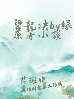 碧龙决by绿文原著小说