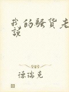 我的骚货老婆小说