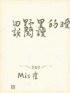 田野里的暧昧小说阅读