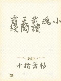 霸天武魂小说在线阅读