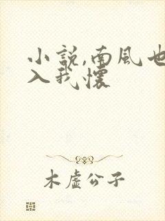小说,南风也曾入我怀