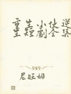 重生小伙逆袭人生短剧全集