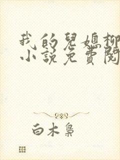 我的儿媳柳如烟小说免费阅读