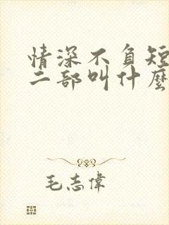 情深不负短剧第二部叫什么