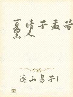 夏晴子孟若羽和黑人