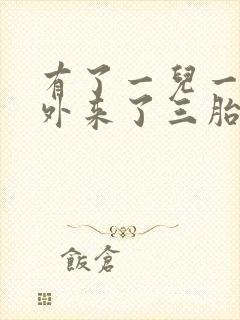 有了一儿一女意外来了三胎咋办