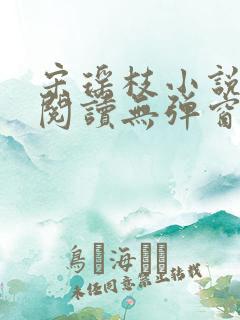 宋瑶枝小说免费阅读无弹窗最新章节