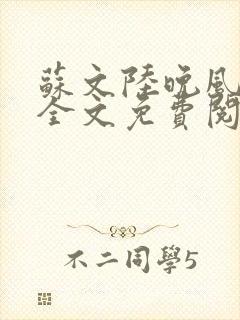 苏文陆晚风小说全文免费阅读无弹窗