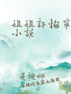 姐姐许怡宁江凡小说