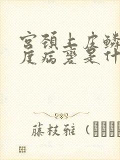 宫颈上皮鳞状高度病变是什么意思?