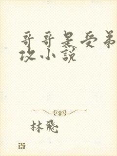 哥哥是受弟弟是攻小说