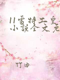 11处特工皇妃小说全文免费听