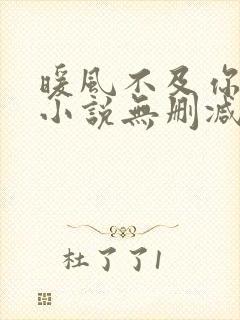 暖风不及你情深小说无删减在线阅读