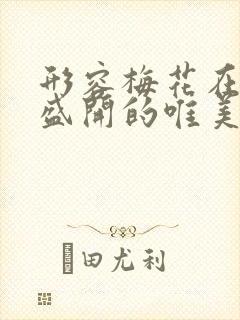 形容梅花在冬天盛开的唯美句子