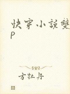 快穿小说双性np