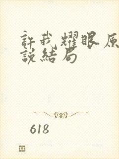 许我耀眼原著小说结局