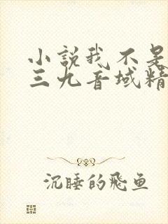 小说我不是戏神三九音域精校版