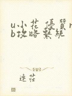 u小花 优质rb攻略系统