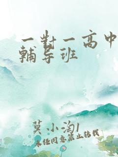 一对一高中语文辅导班