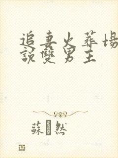 追妻火葬场的小说双男主