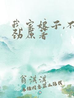 我家娘子,不对劲原著