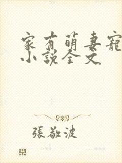 家有萌妻宠上天小说全文