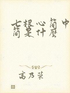 七根心简中的心简是什么