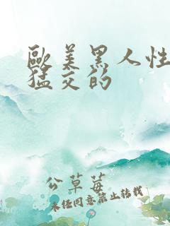 欧美黑人性暴力猛交的