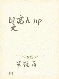 bl高h np文