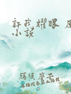 许我耀眼 原著小说