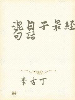 混日子最经典十句话