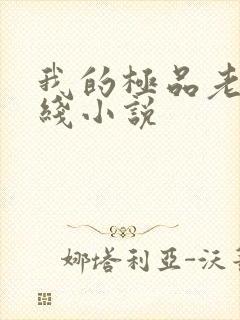 我的极品老婆在线小说