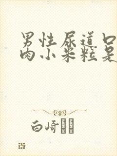 男性尿道口长小肉小米粒是怎么回事