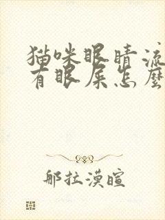 猫咪眼睛流眼泪有眼屎怎么回事