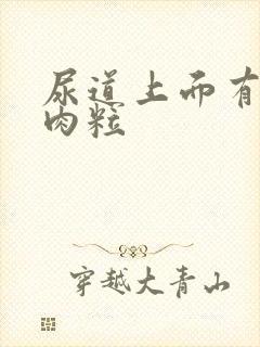 尿道上面有个小肉粒