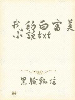 我的白富美老婆小说txt