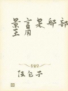 景言是哪部小说主角