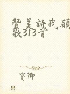 赞美诗我愿象主歌313首