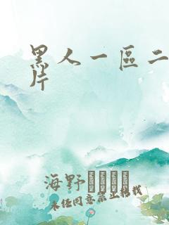 黑人一区二区毛片