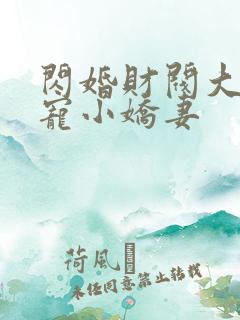 闪婚财阀大叔强宠小娇妻