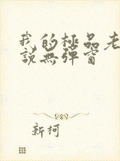 我的极品老婆小说无弹窗