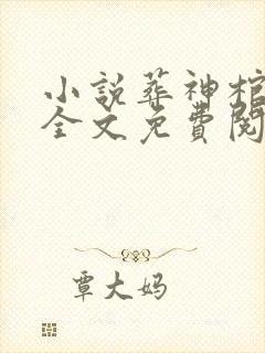 小说葬神棺在线全文免费阅读