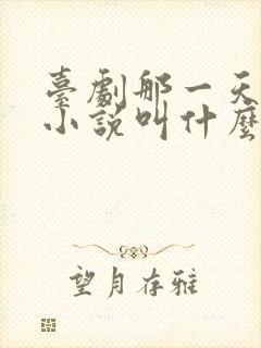 台剧那一天原著小说叫什么