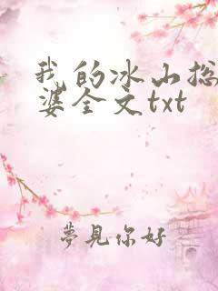 我的冰山总裁老婆全文txt