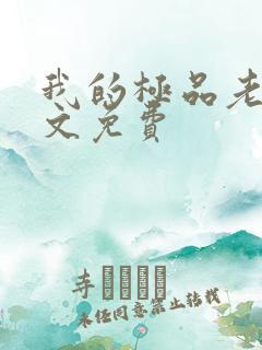 我的极品老婆全文免费