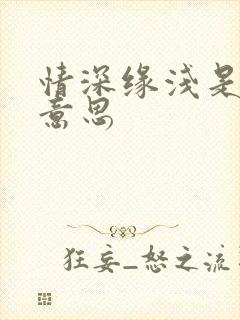 情深缘浅是什么意思