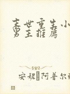 末世重生小说双男主推荐