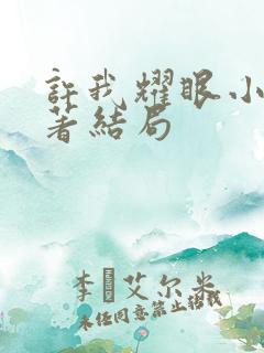 许我耀眼小说原著结局